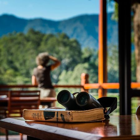 Promised Land Retreat Villa Bellingen Ruang foto